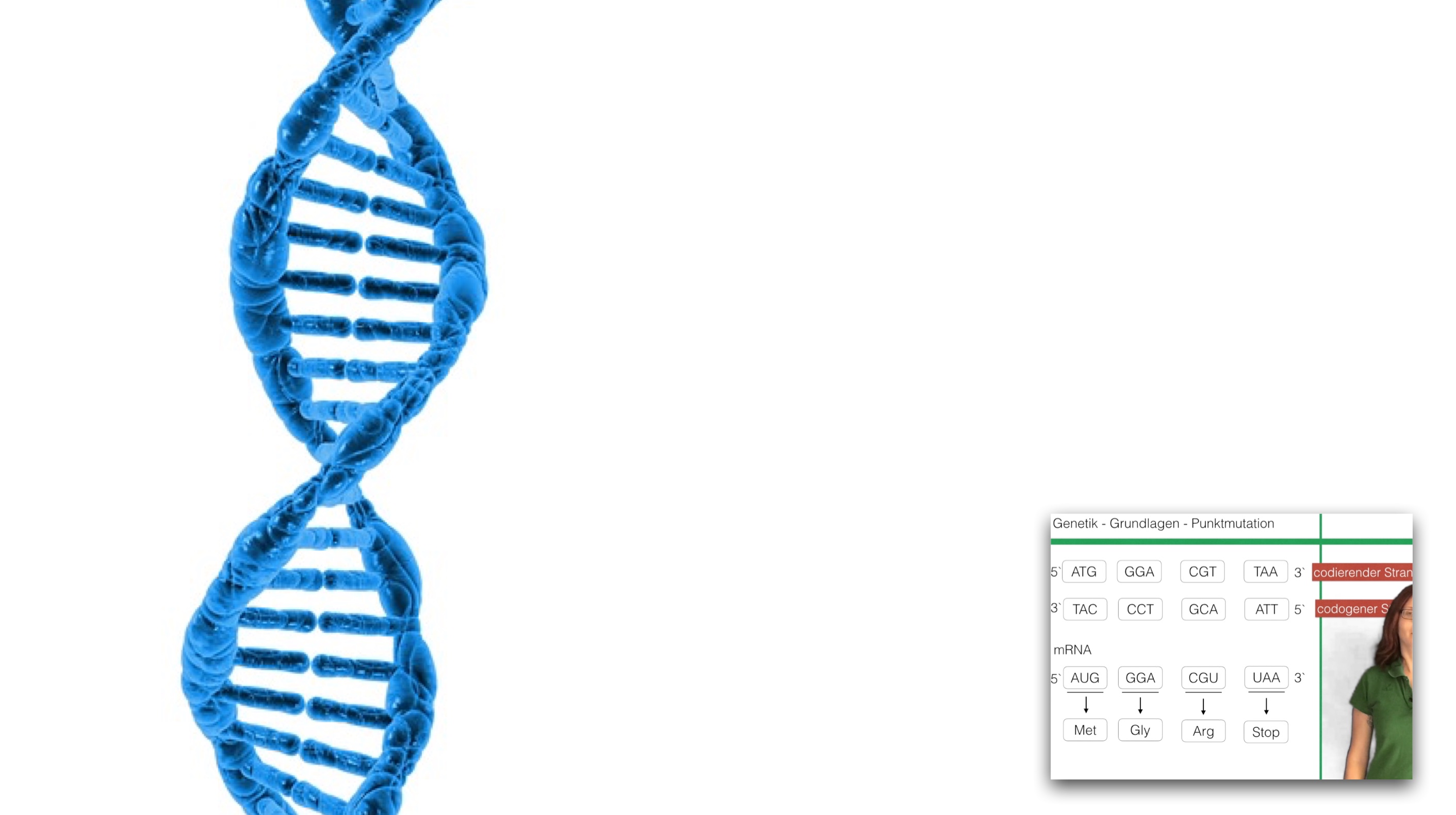 punktmutation-readthrough-mutation-clipdocs